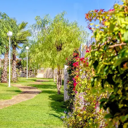 Appartement Playa Flamenca Olga *